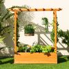 Raised Garden Bed with Trellis or Climbing Plant and Pot Hanging