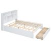 Queen Size Platform Bed with Storage Headboard and 2 Drawers, White